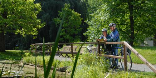 Senioren mit Fahrrädern stehen am Teich und besprechen Fahrradtour